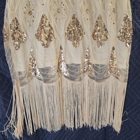 Woman's 1920's Gatsby Cocktail Sequin Dress - Picture 5 of 6